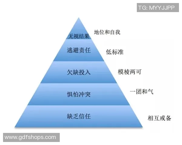 杭州篮球队的团队协作之道：共创辉煌的背后故事与实践探索